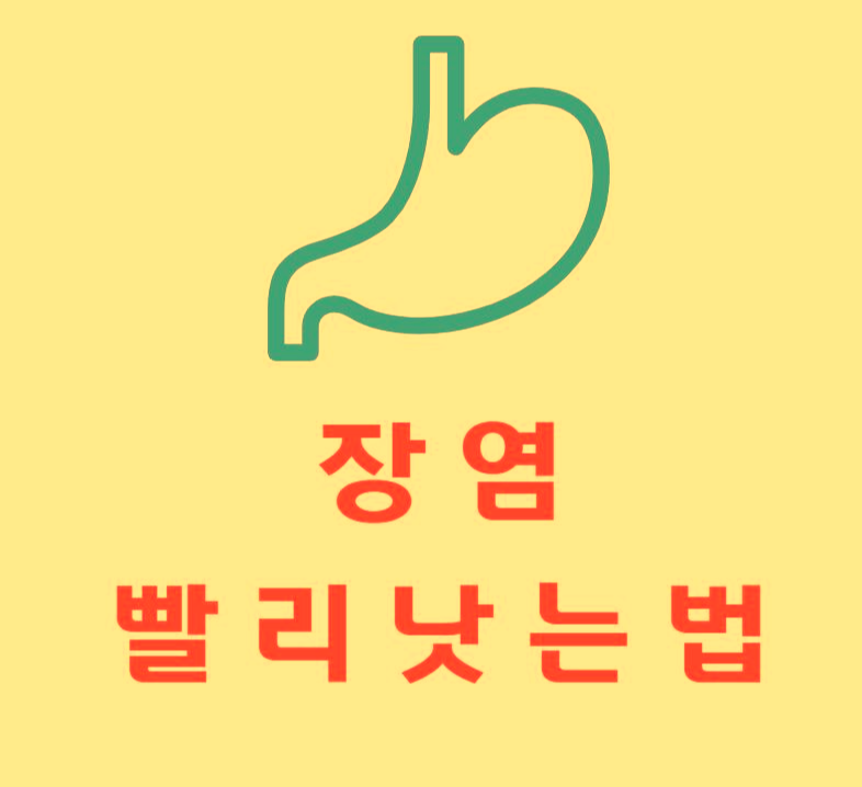  장염 빨리낫는법 정보모음