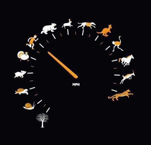 img.jpg