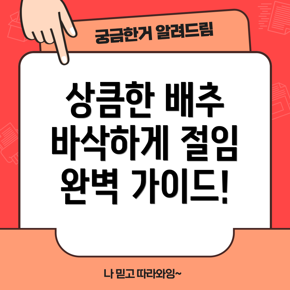 절임 배추