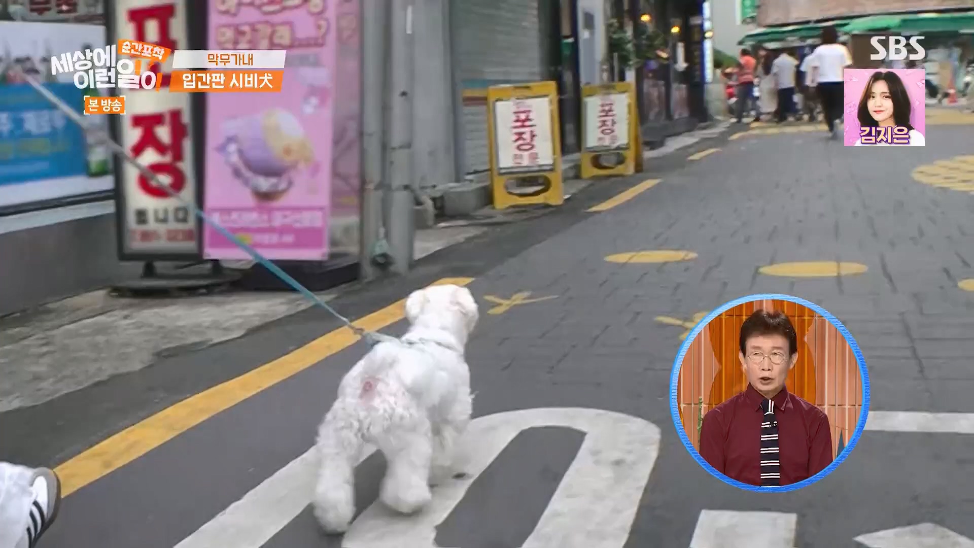 순간포착 세상에 이런일이.E1245.230909p.H264-F1RST.mp4_20230910_171509.849.jpg