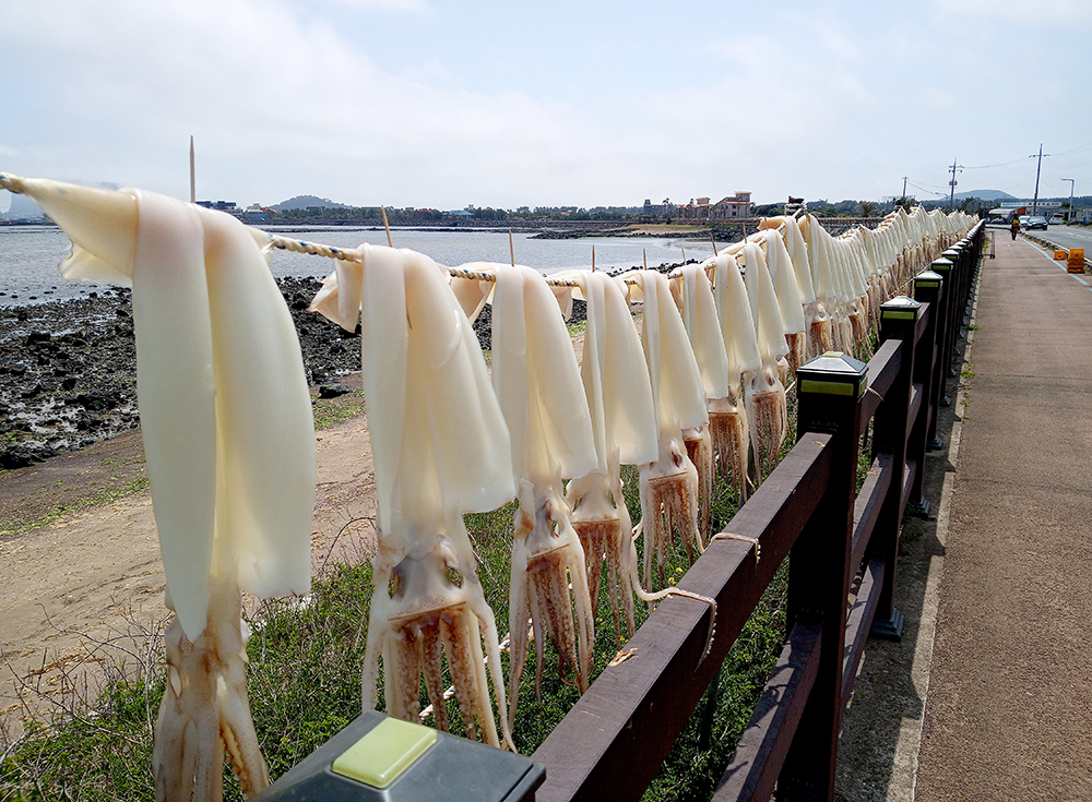 올레길 1코스: 광치기해변에서 시흥리까지