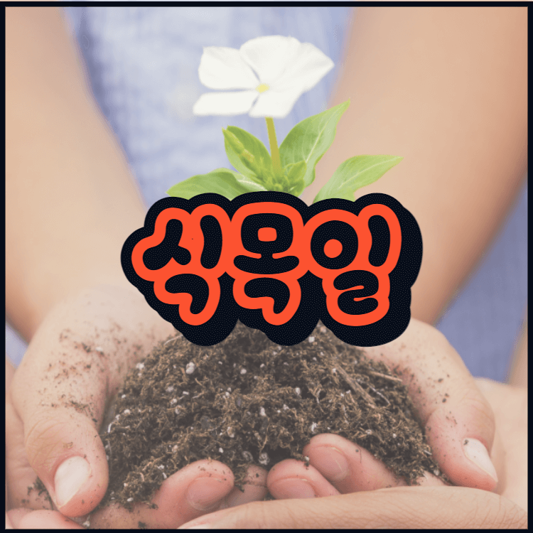  식목일 공휴일 날짜 유래 왜 중요할까요?