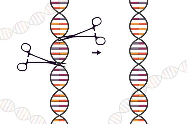 CRISPR-Cas9 유전자 편집 기술의 원리와 실제 적용 사례