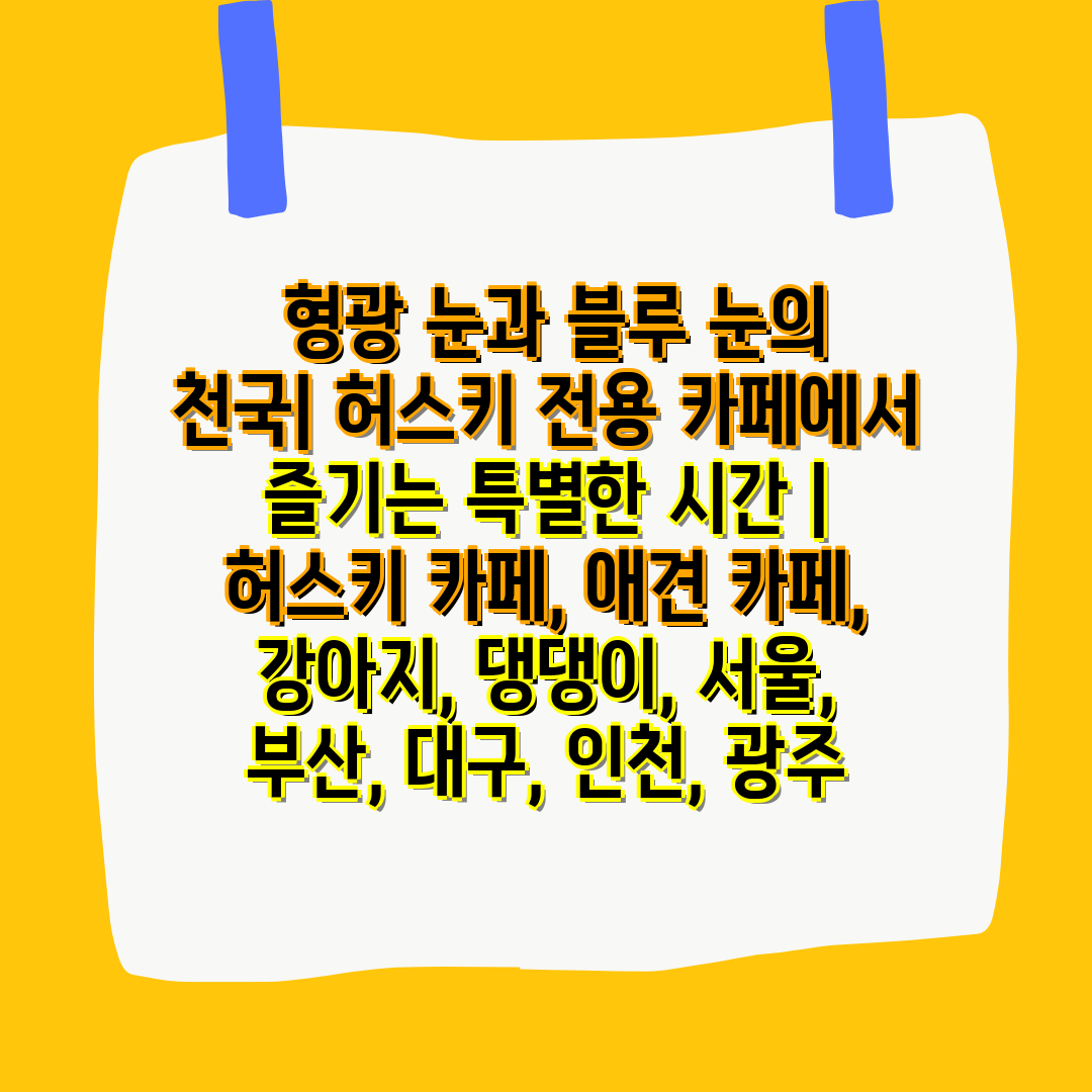  형광 눈과 블루 눈의 천국 허스키 전용 카페에서 즐기