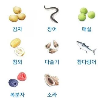 6월 제철 음식 추천 종류_3