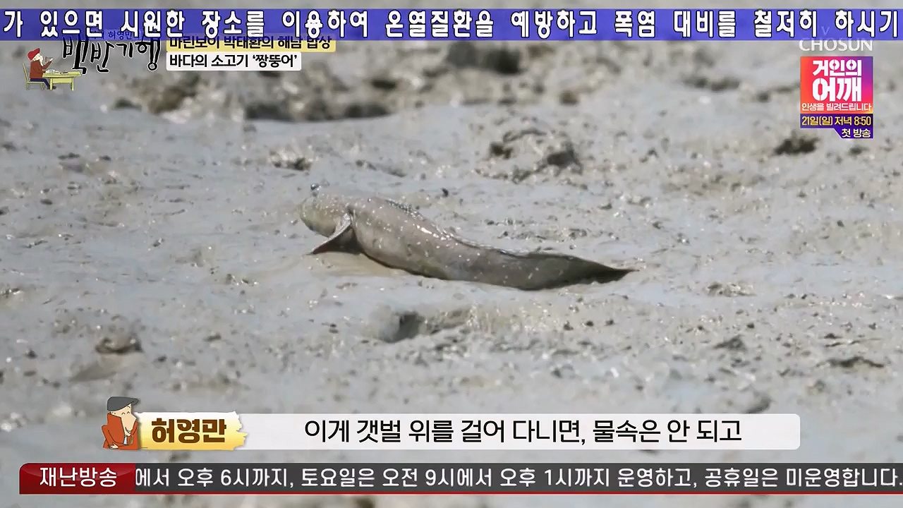 식객 허영만의 백반기행.E256.240715p-NEXT.mp4_20240715_194345.609.jpg