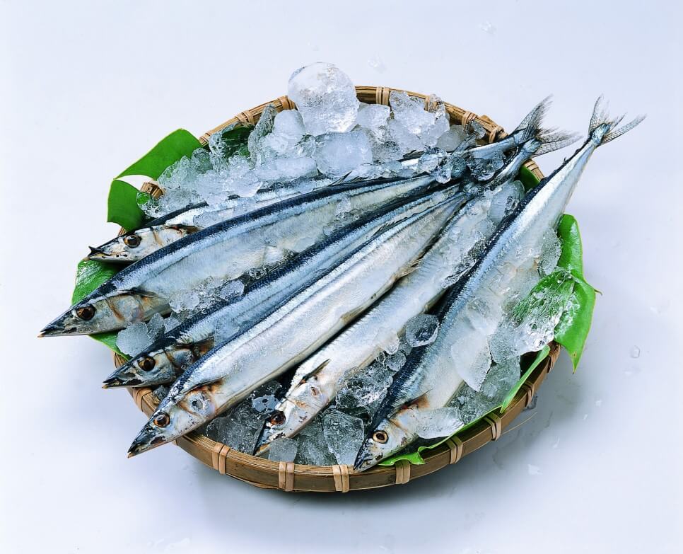  꽁치 효능과 칼로리, 영양성분