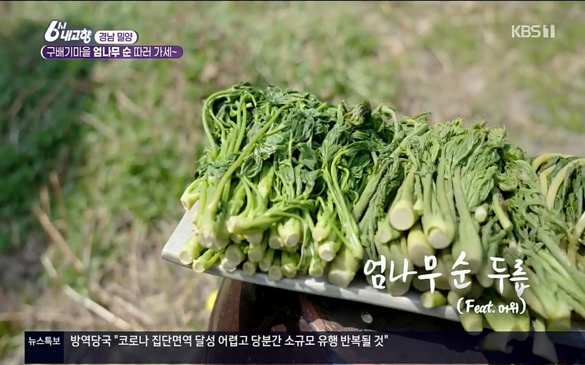 6시 내고향.E7510.220414p.H264-F1RST.mp4_20220419_182323.410.jpg