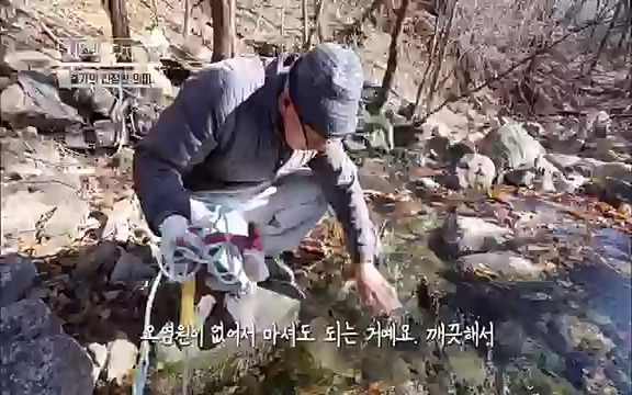 [3회] 자연의 철학자들 - KBS새처럼 살고 싶어라] 자연이라는 위대한 법당에서 숲의 울림, 새들의 소리를 들으며 깨달음을 얻은 도연 스님.ts_20220320_153608.295.jpg