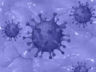 오미크론 코로나 바이러스 2