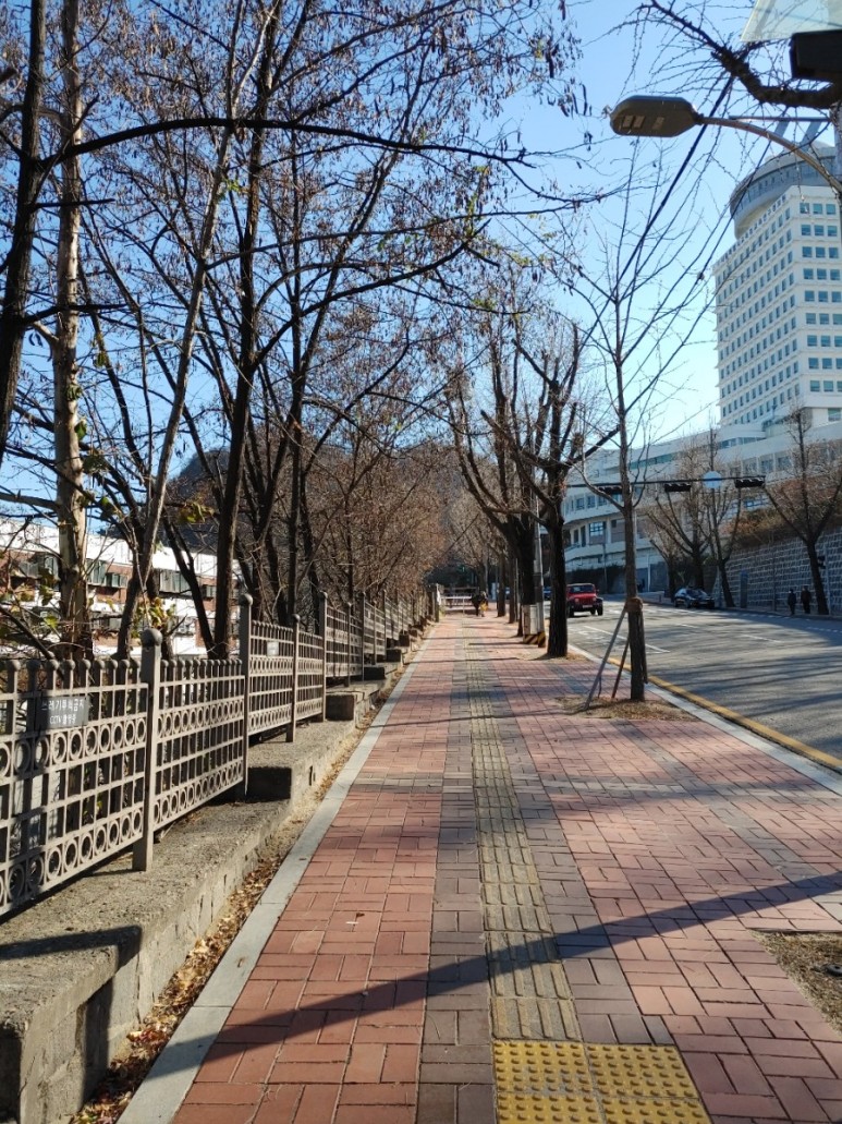 시티투어버스, 남산둘레길, 태극당, 광장시장, 청계천 빛축제 서울여행 반나절 코스 - 22