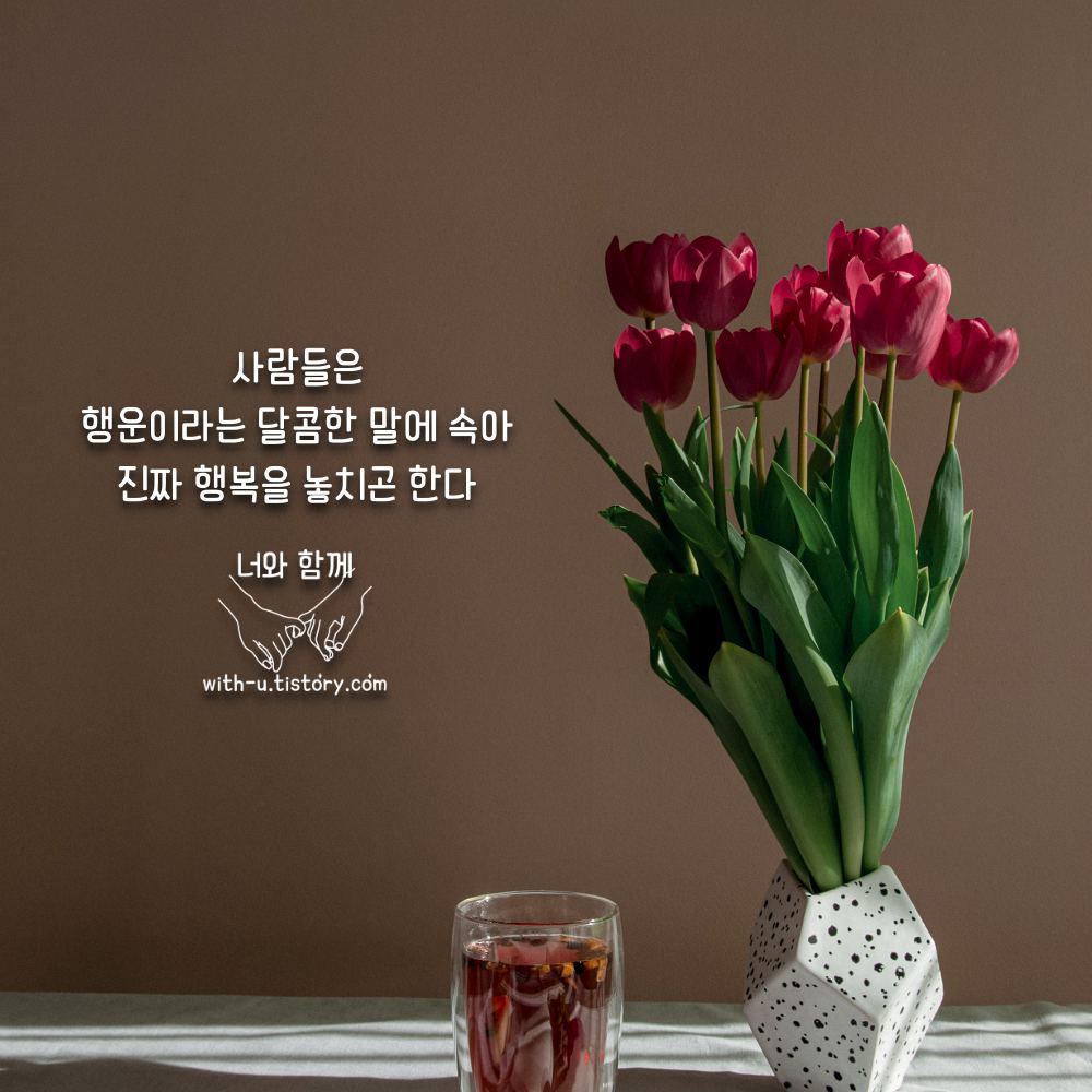  행운 명언 : 짧고 좋은 글귀 : 짧은 명언