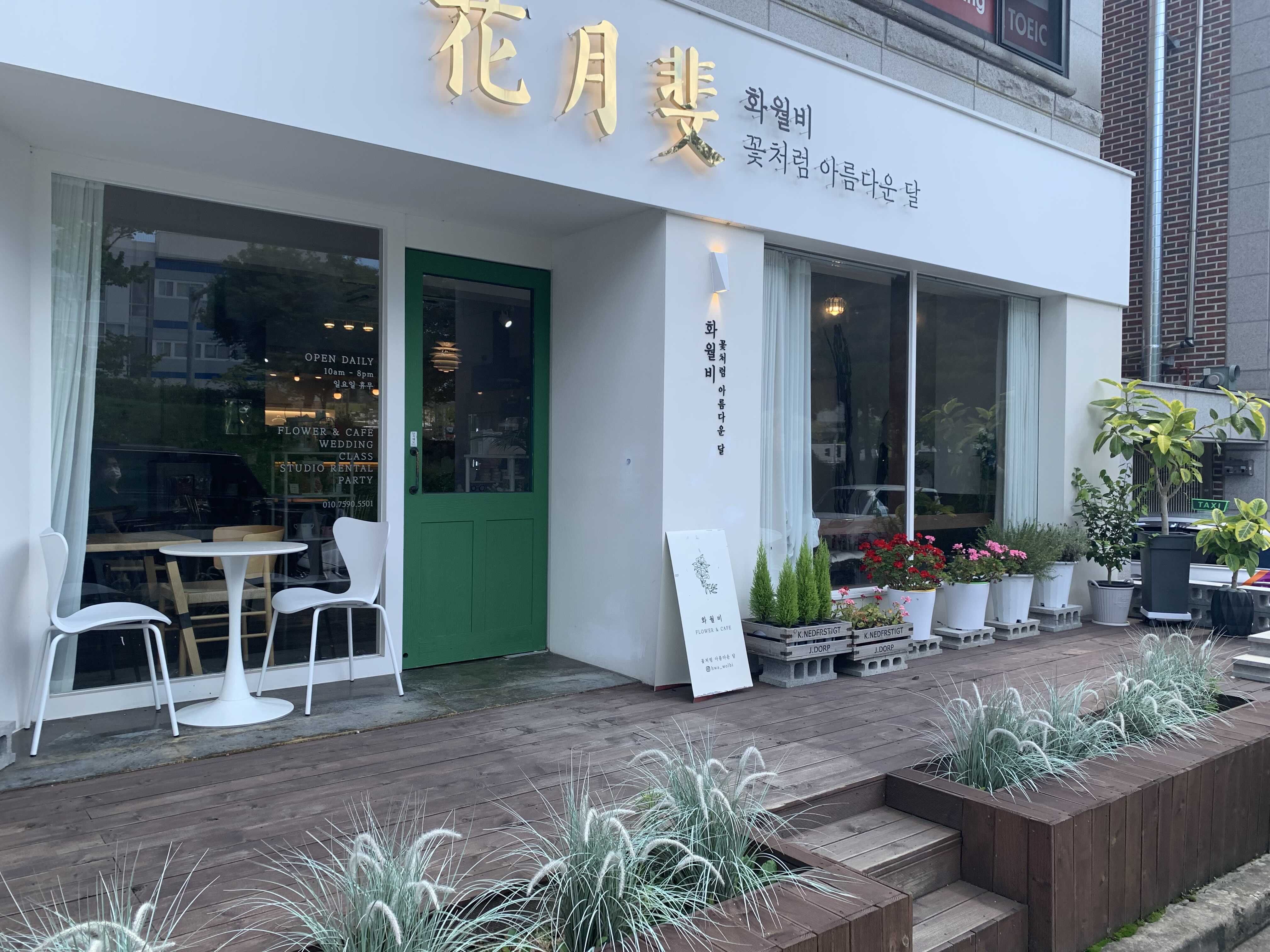 화월비 이미지