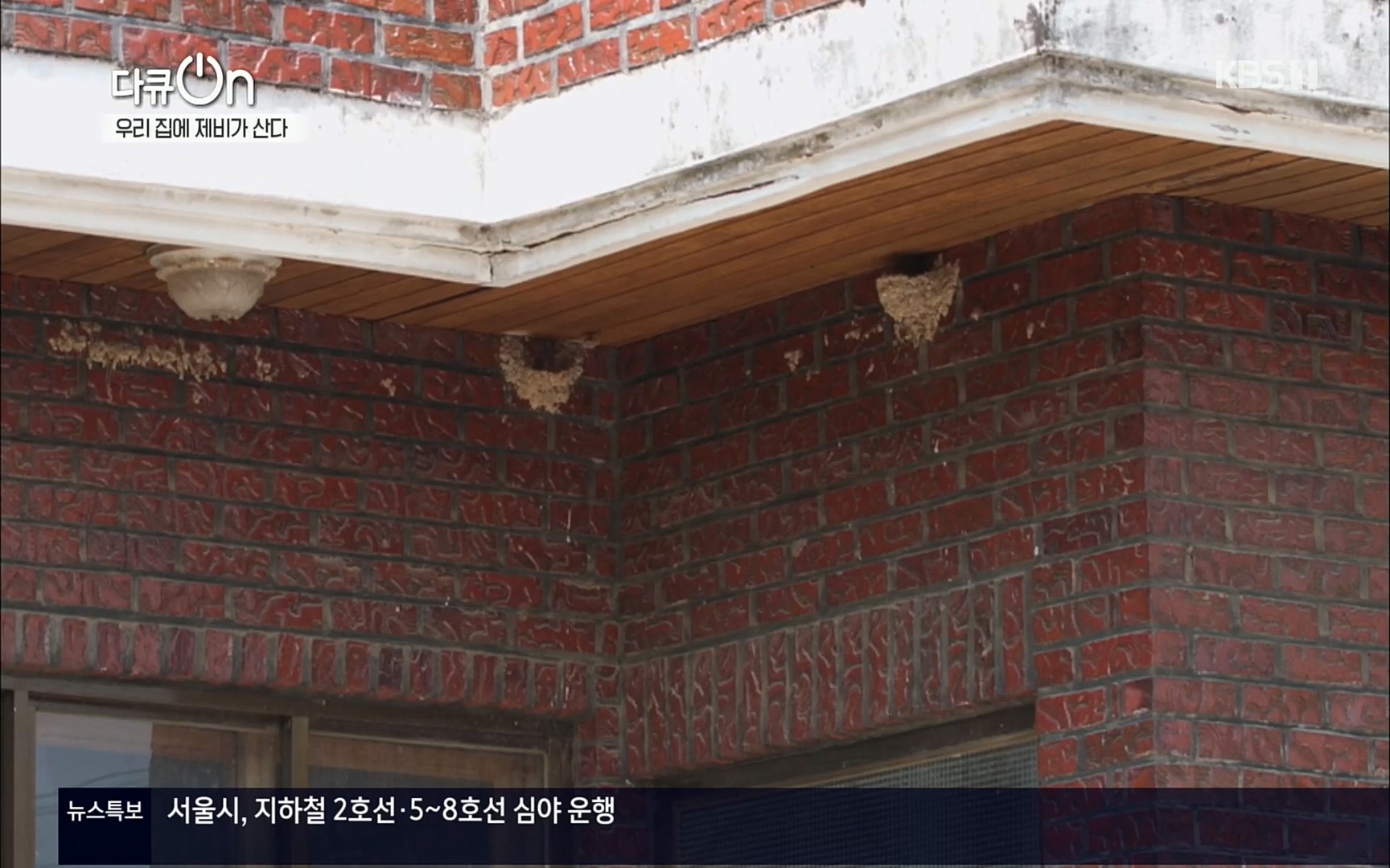 다큐 On.E143.220610p.H264-F1RST.mp4_20220613_200954.896.jpg