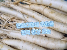 인삼다당체-효능