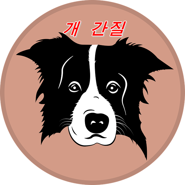  개 간질