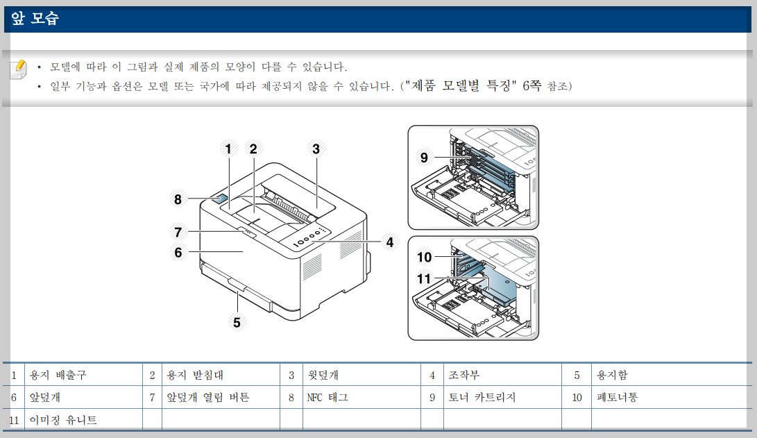 앞모습