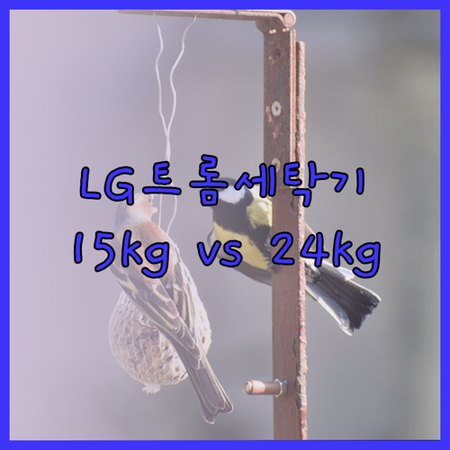 LG 트롬 드럼세탁기 15kg 24k