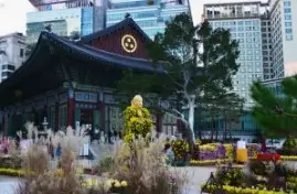 조계사