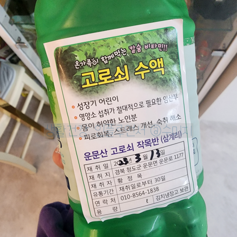 고로쇠 이미지