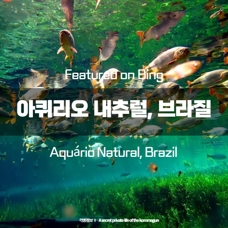Featured on Bing 아퀴리오 내추럴&#44; 브라질 Aquário Natural&#44; Brazil