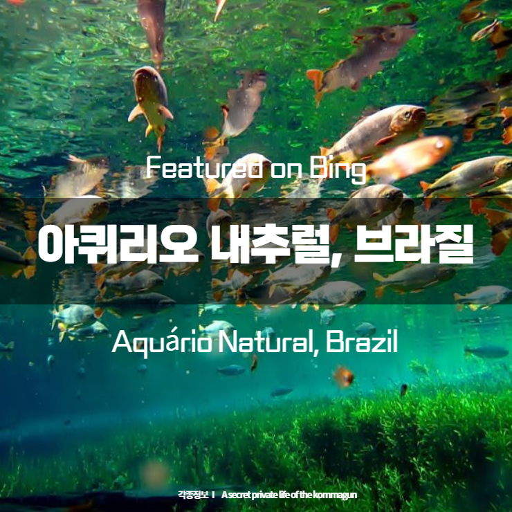  Featured on Bing 아퀴리오 내추럴, 브라질 Aquário Natural, Brazil
