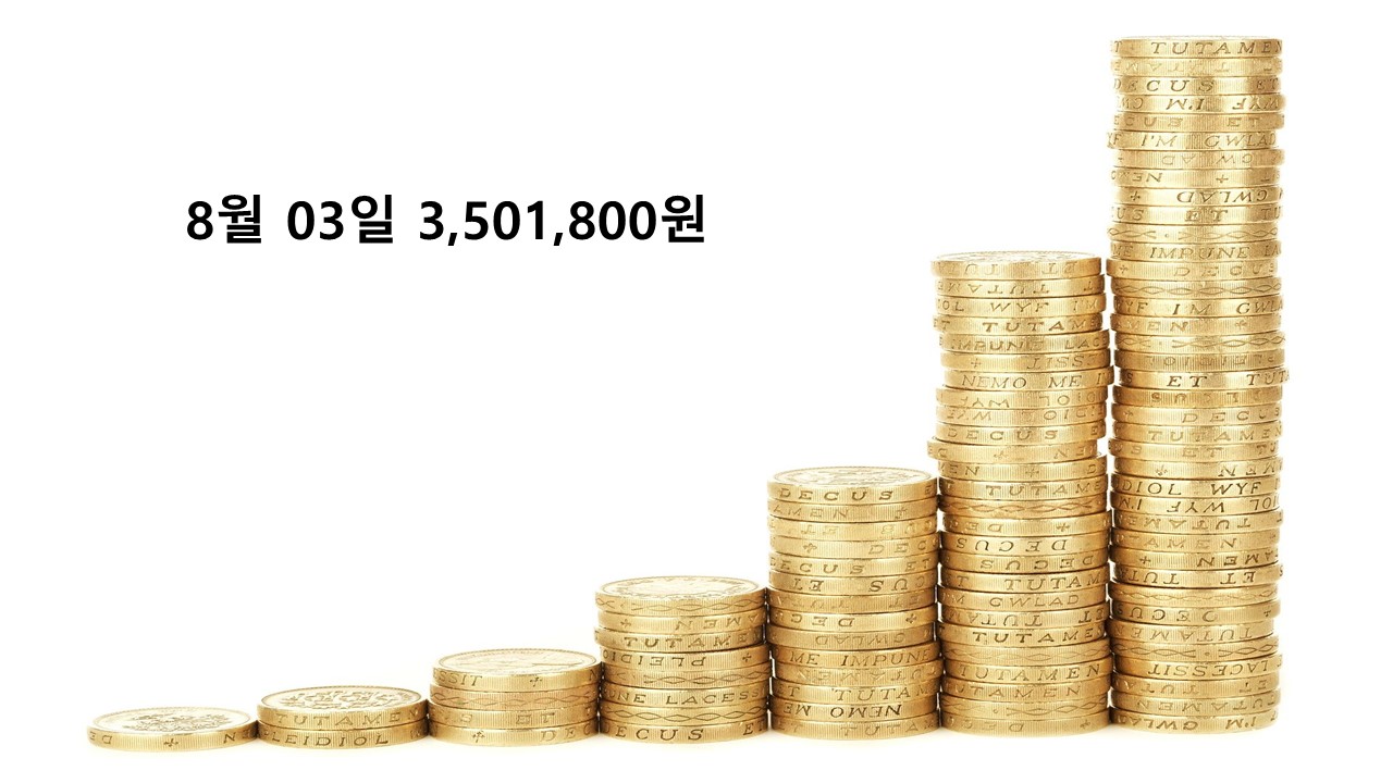  한주 아껴쓰셨나요? [8/01~8/07일] 주간 가계부 -(수입:월급+특별상여금)