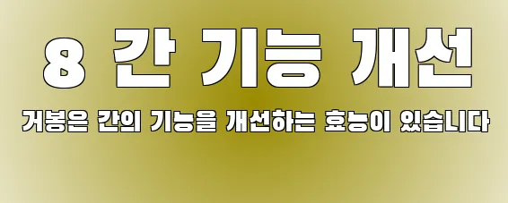  8 간 기능 개선 거봉은 간의 기능을 개선하는 효능이 있습니다