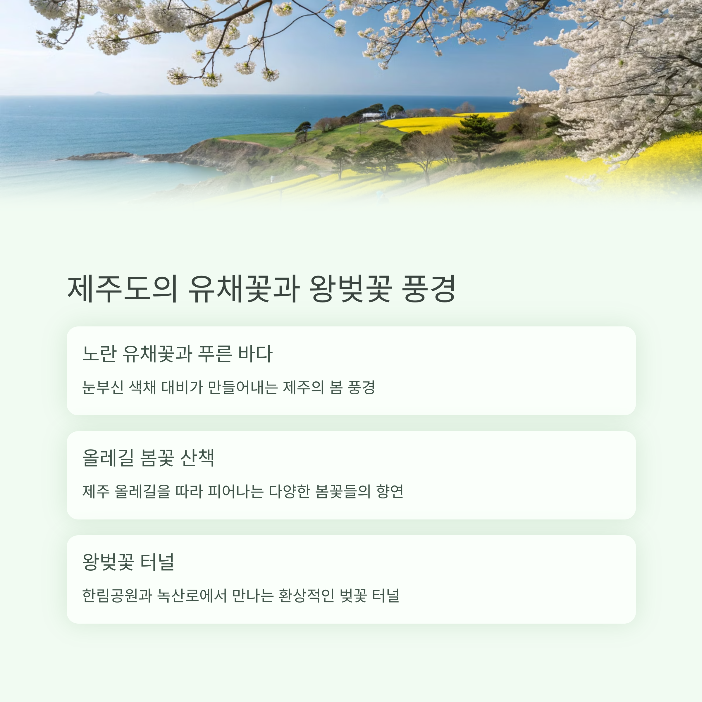 4월 국내여행 명소 Best5 추천 리스트
