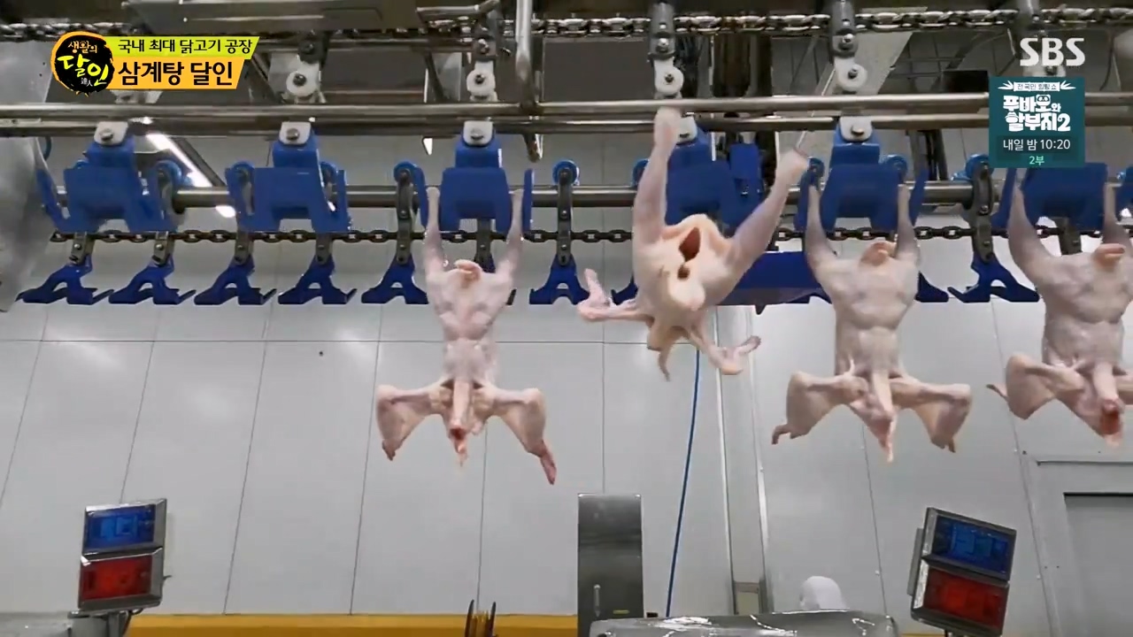 생활의 달인.E929.240402p-NEXT.mp4_20240402_195143.778.jpg