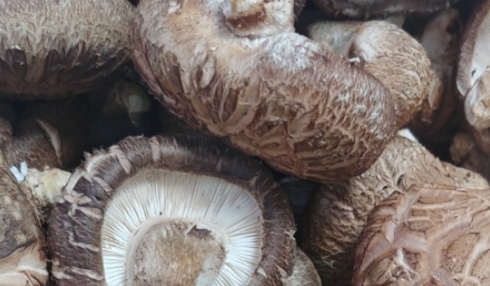 본전식당 이미지