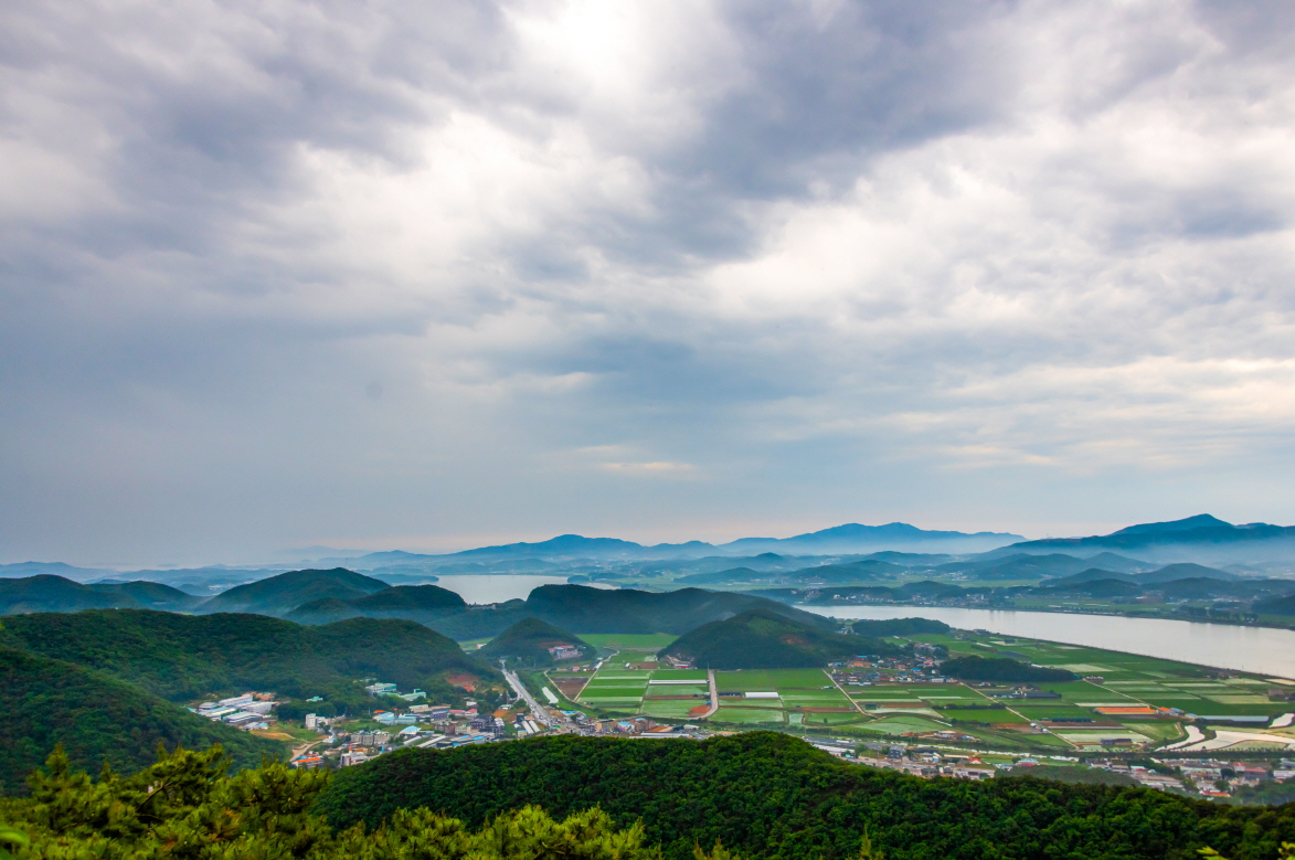 바로 앞은 김포