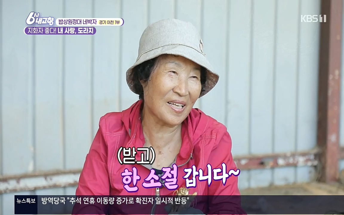 6시 내고향.E7617.220915p.H264-F1RST.mp4_20220916_213103.271.jpg
