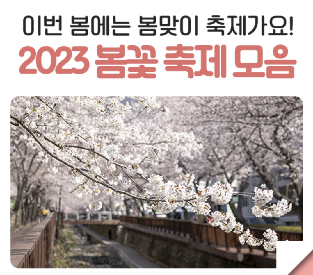 서울시 봄꽃 축제 TOP 2