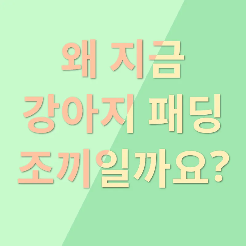 강아지겨울나기_1