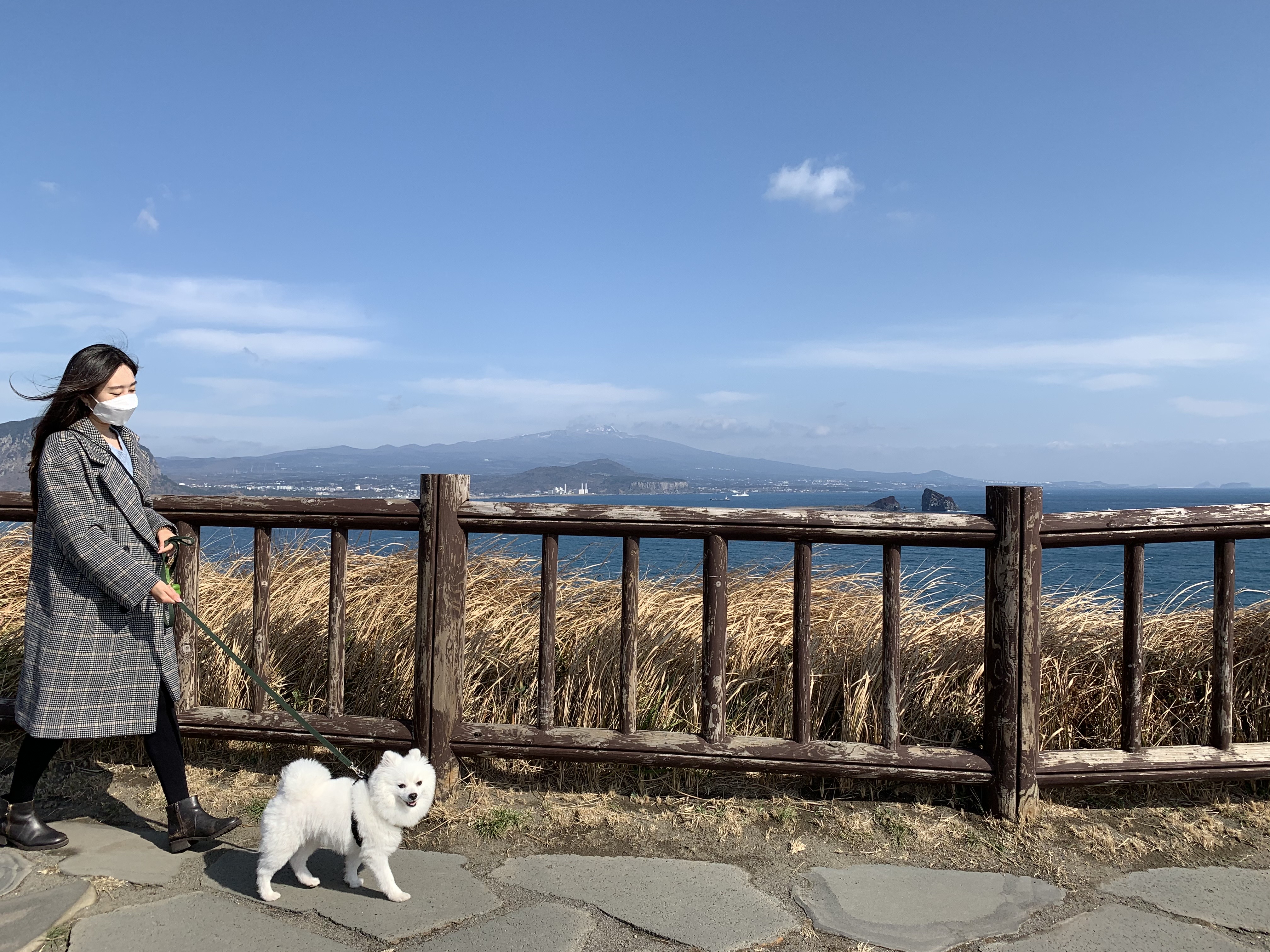  [반려견 동반 여행] 반려견과 같이 갈 수 있는 제주 관광지(송악산 둘레길)