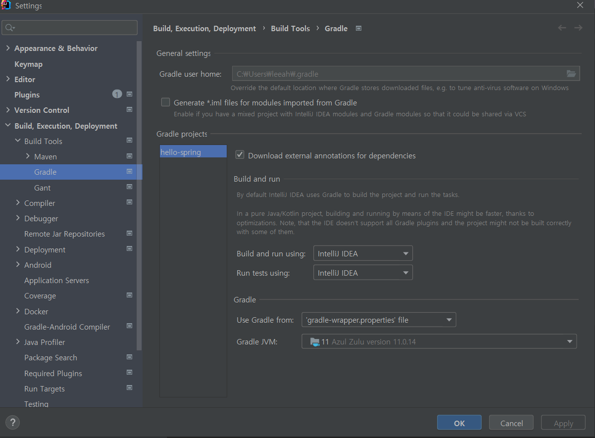 [Spring/IntelliJ] java version 설정 (java 11 버전 설정) java warning source