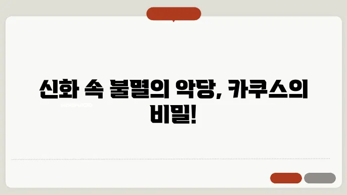 쿠스 이미지