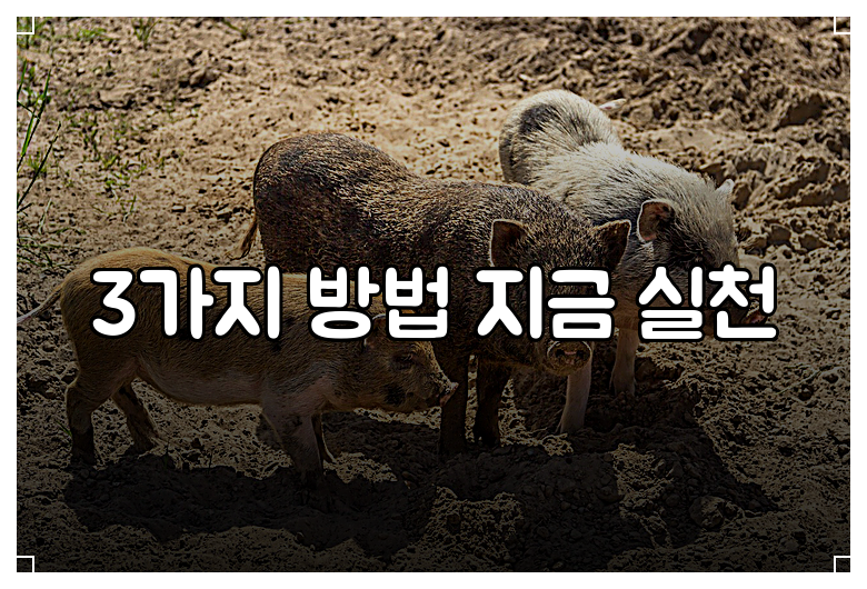3가지 방법 지금 실천