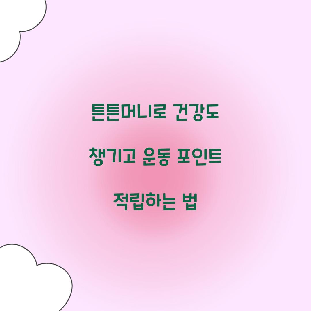 튼튼머니