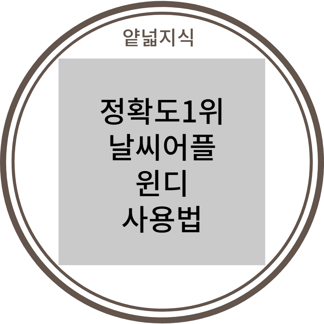  [IT] 정확도 1순위 날씨 어플 윈디 사용법