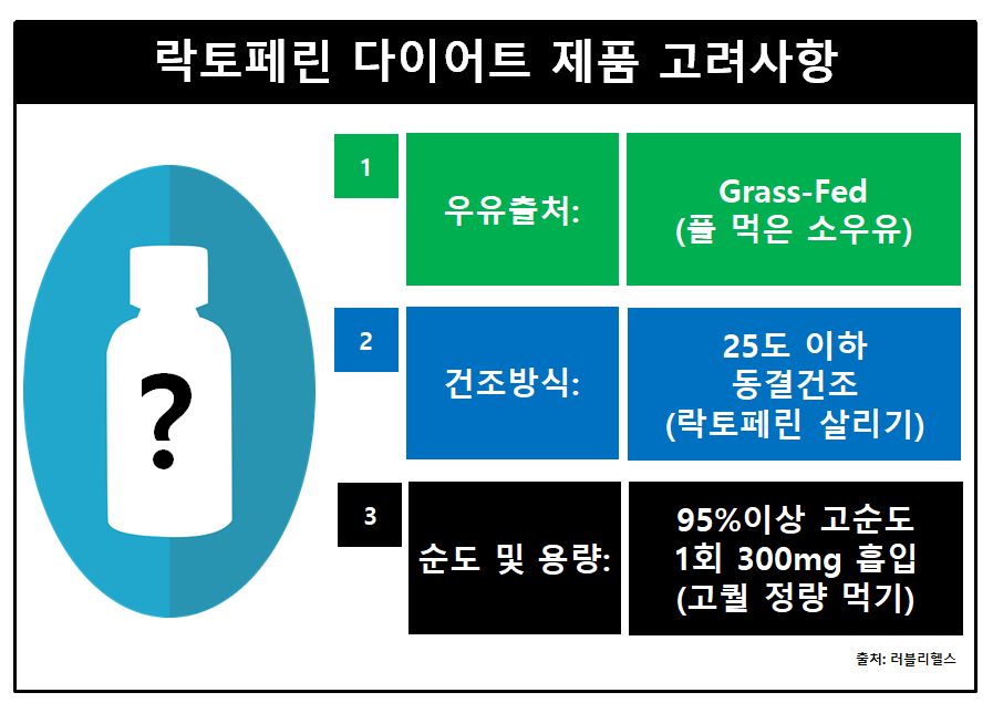 락토페린-다이어트-고려사항