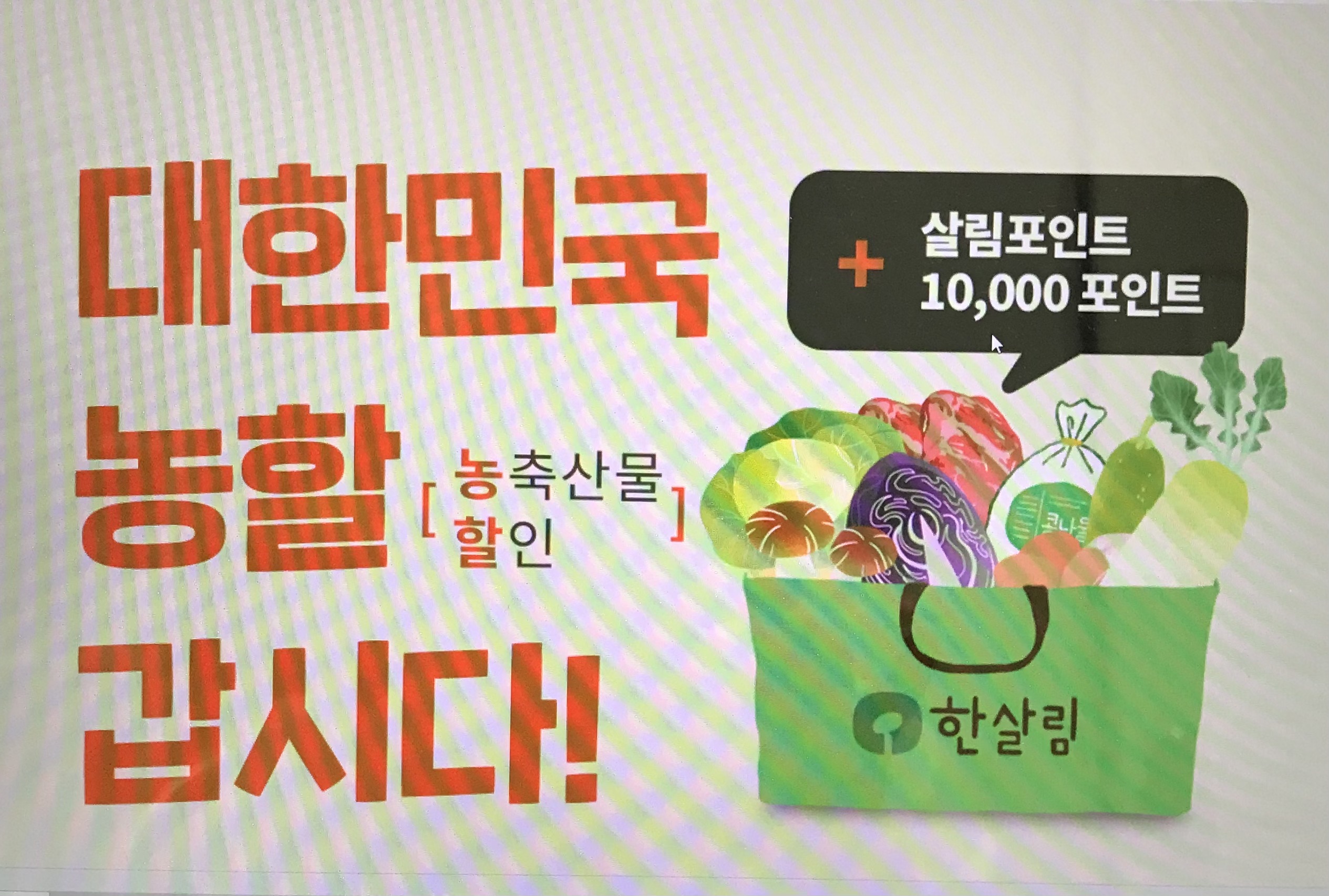  한살림 매장 설맞이 쿠폰 행사 안내
