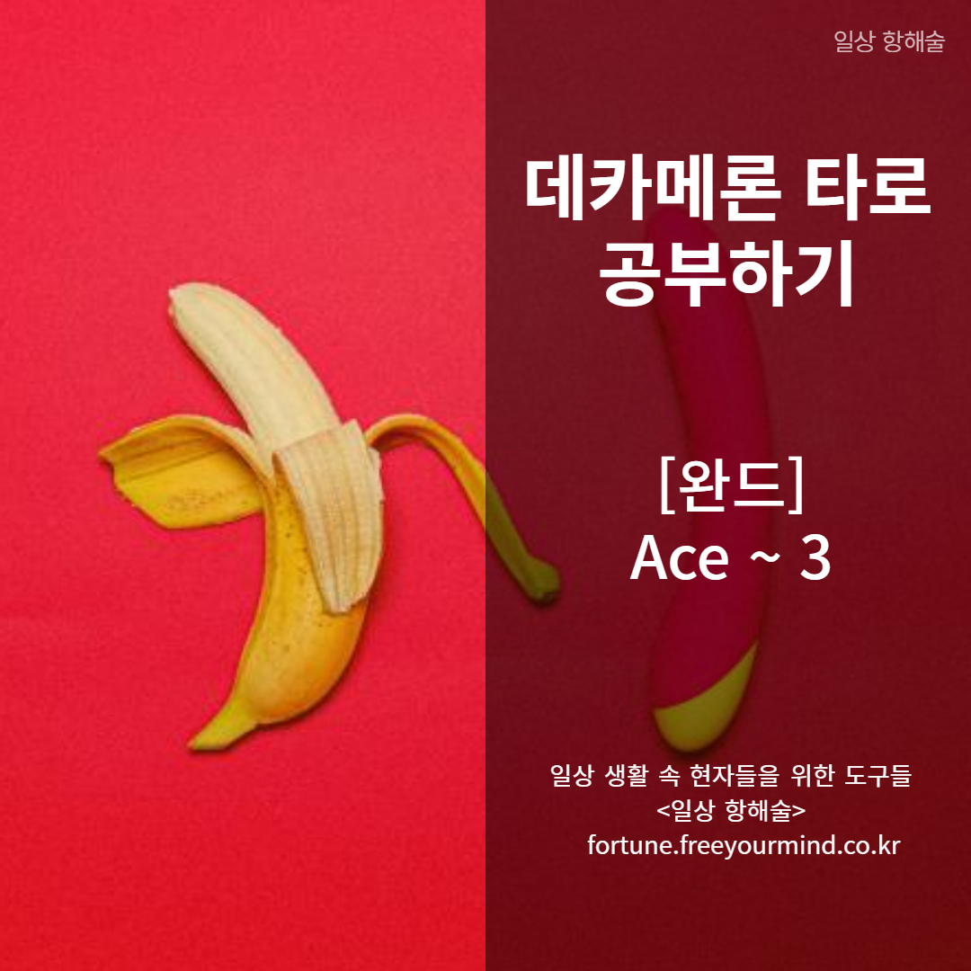 데카메론 타로 완드 에이스~완드 3번 카드 키워드 및 해석 포스팅 썸네일 이미지