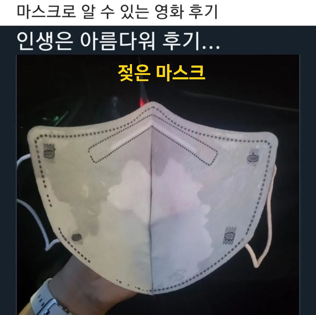  영화 인생은 아름다워 쿠키 눈물펑펑 후기(뮤지컬 영화)