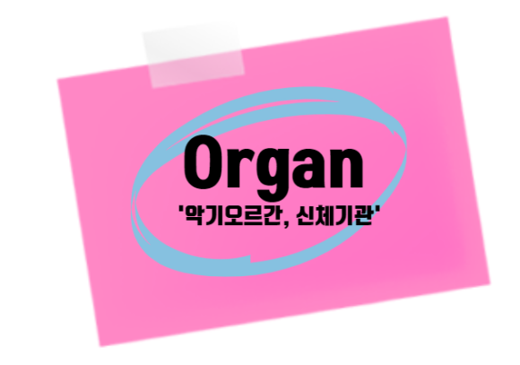 영어단어 유기파생어휘 외우기