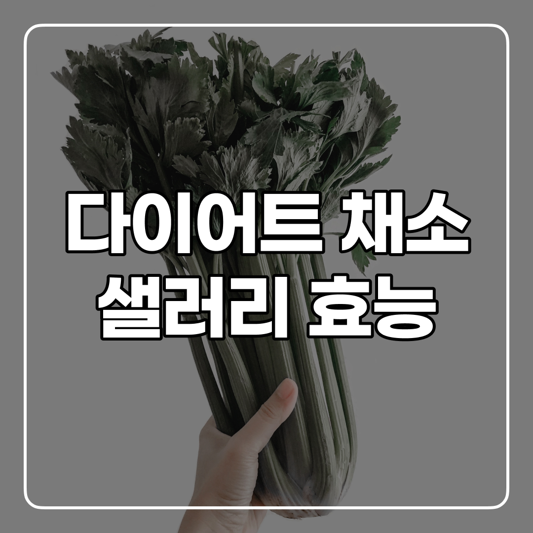  체중 감량 야채 셀러리 효능과 부작용