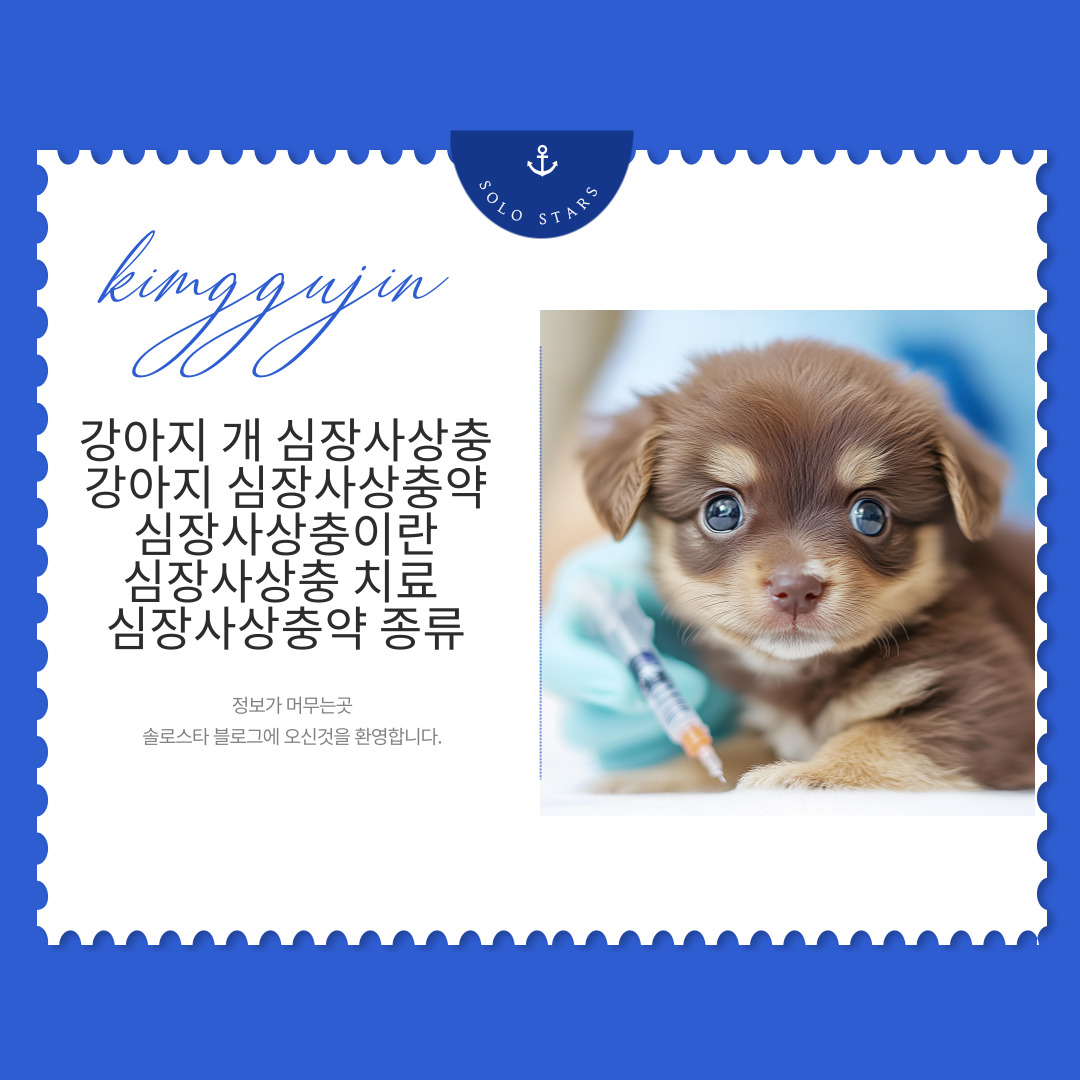 강아지 관련 사진