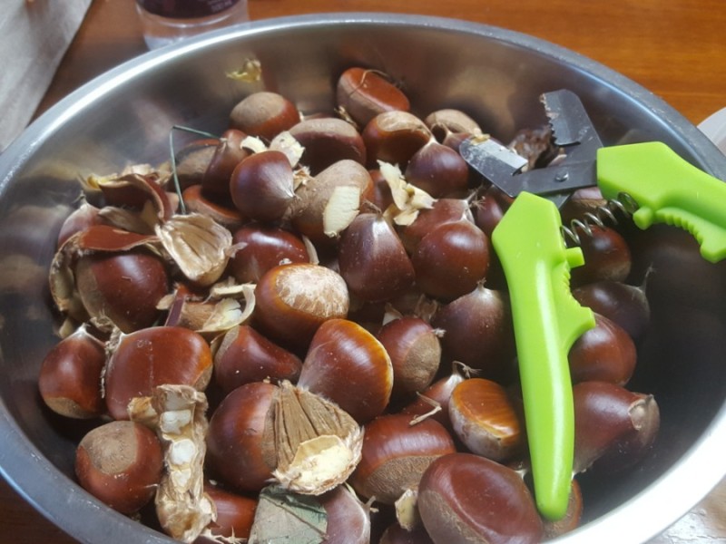  밤 밥짓기