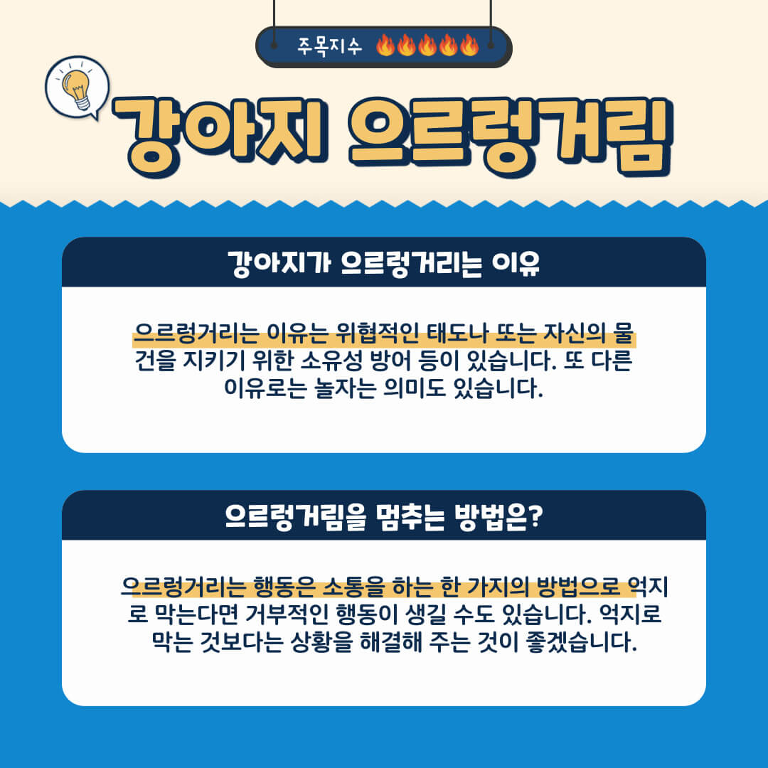 강아지 으르렁거림 멈추는 방법은?